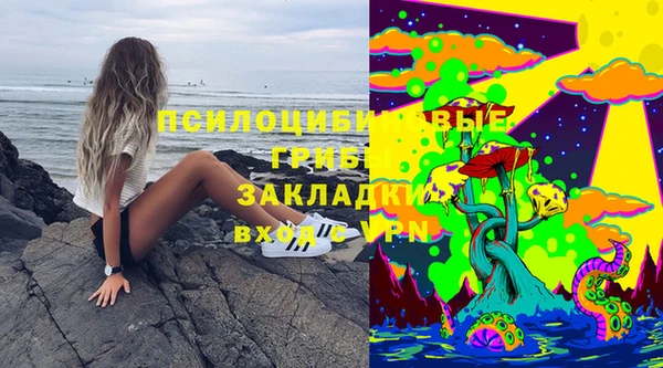 эйфоретик Куровское